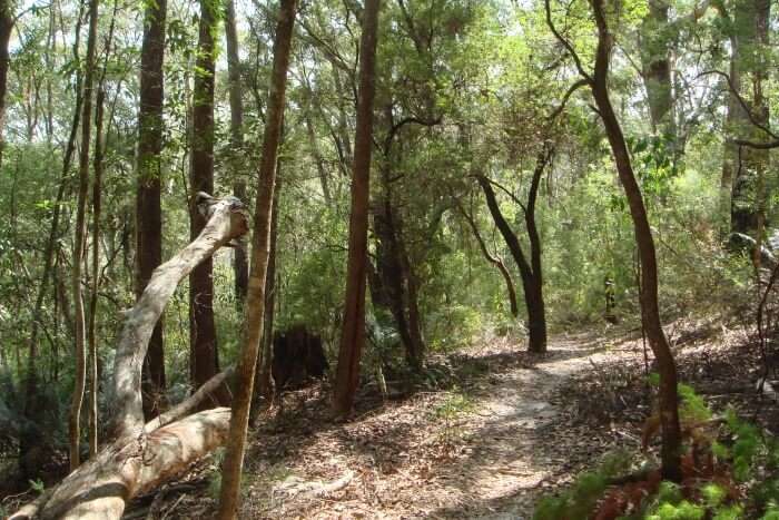 Fraser Island Great Walk