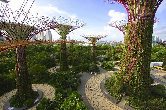 Gardens By The Bay in Singapore