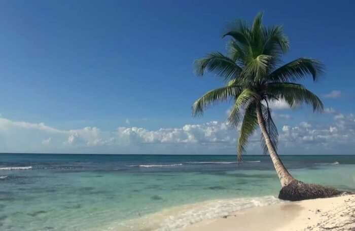 Golden Fish Beach