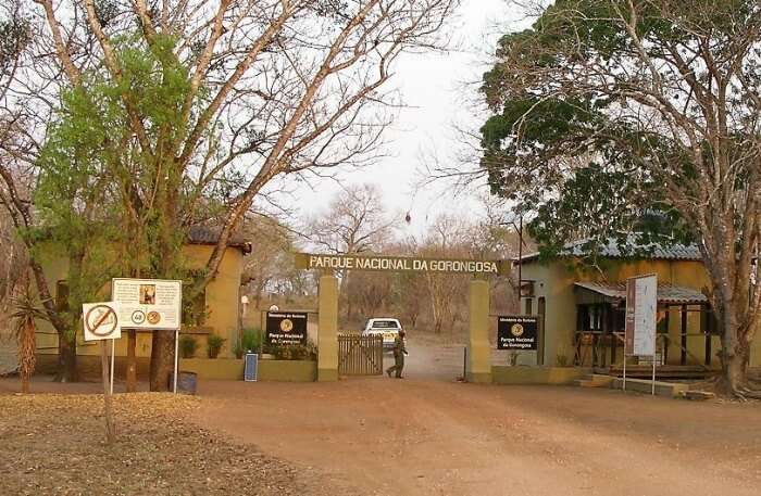 Gorongosa National Park