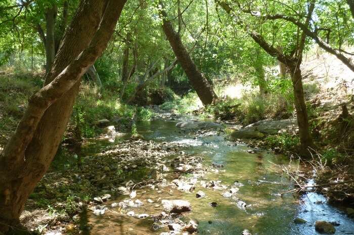 Groenkloof Nature Reserve