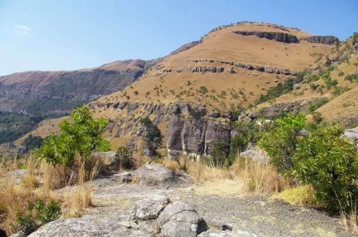Guarrie Trail