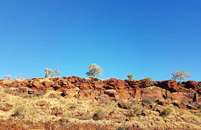 Hitchhiking In Western Australia