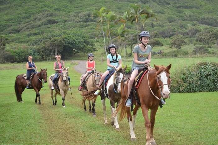 Horseback Riding Lessons at Khao Lak Horse Club