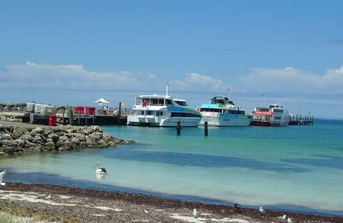 Rottnest Island