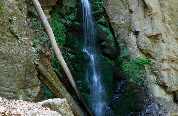 iona falls