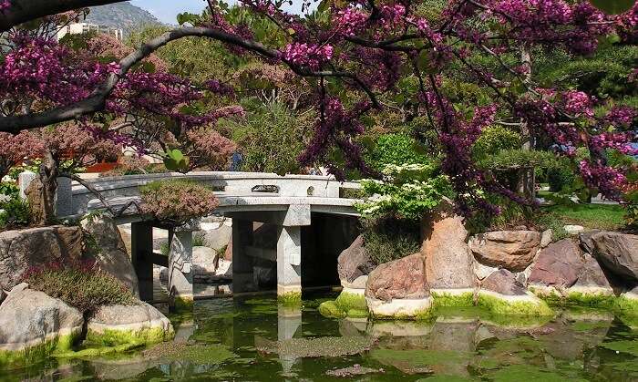 monaco japanese gardens