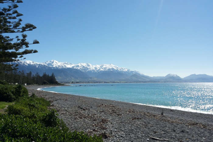 Kaikoura Beach