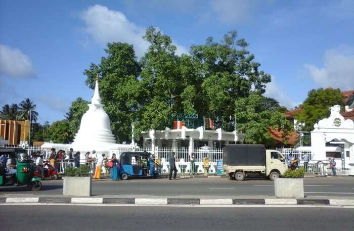 Kalutara Bodhiya