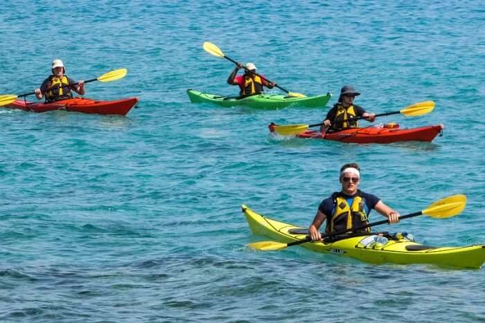 Kayak through mangroves