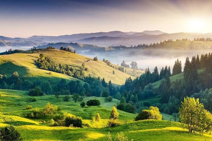 view of the lush green valley