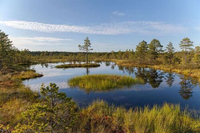 Lahemaa National Park 