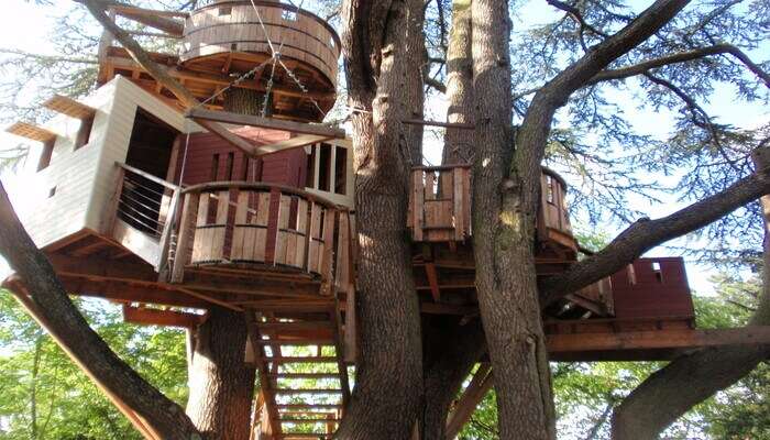 Stop by the tree house