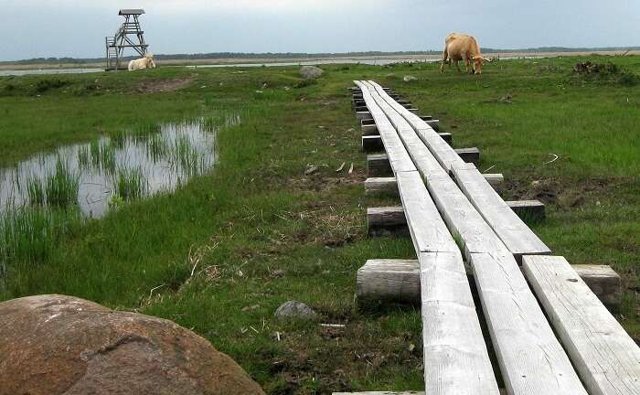 Lake Angure Nature Park