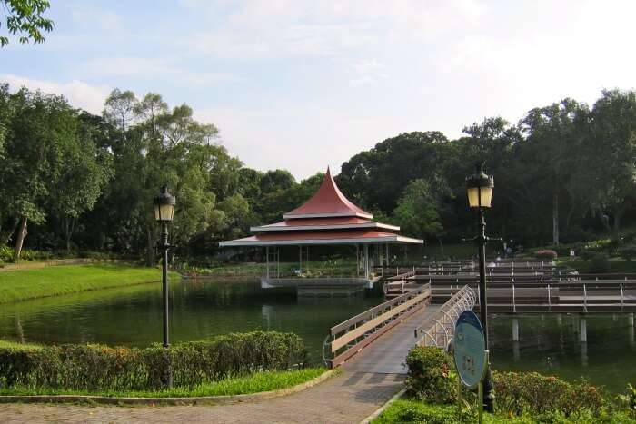 MacRitchie Reservoir Park