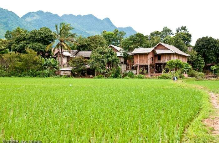 Mai Chau