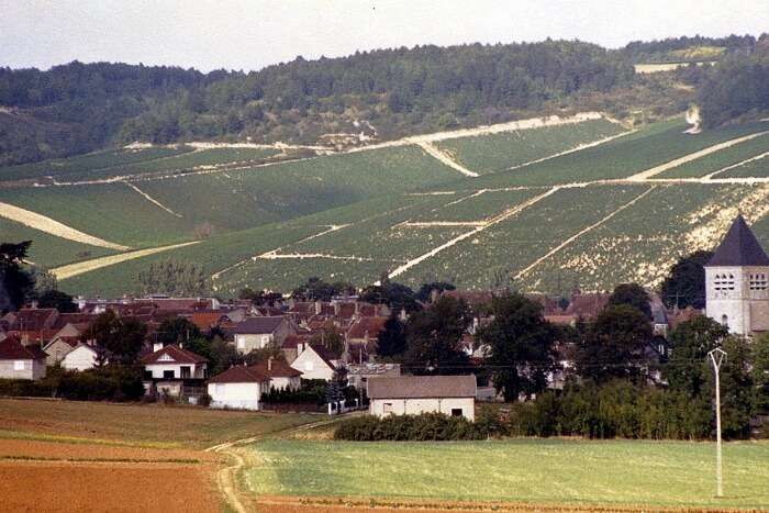 Maison de Champagne Lanson