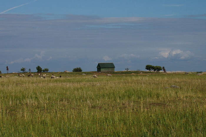 Manija Landscape Conservation Area