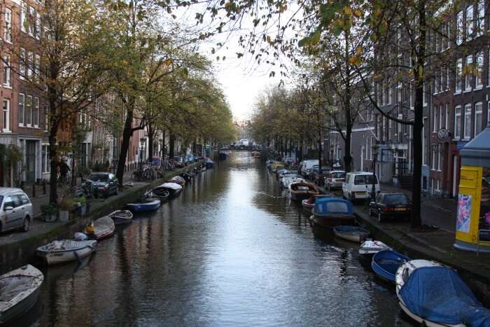 visit amsterdam in march