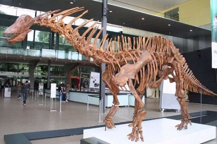 Melbourne Museum