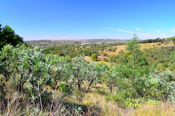 Moreleta Kloof Nature Reserve