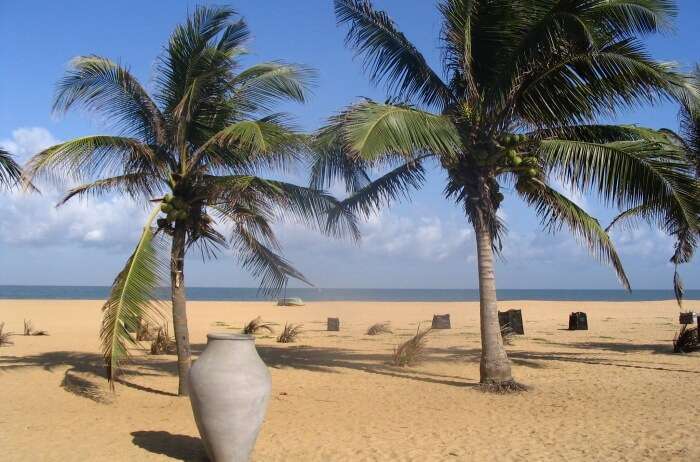 Negombo Beach