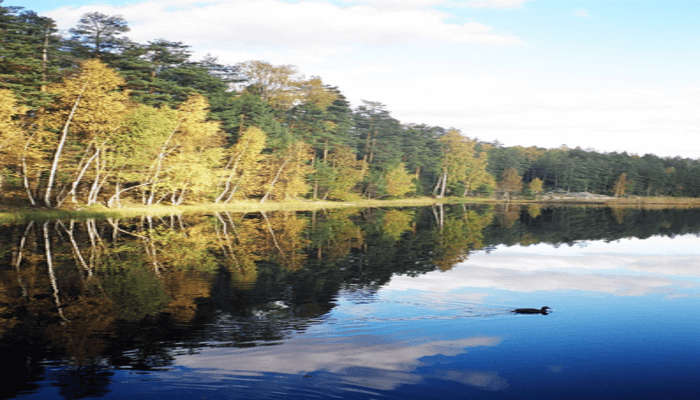 Nuuksio National Park