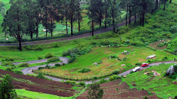 Ooty in India