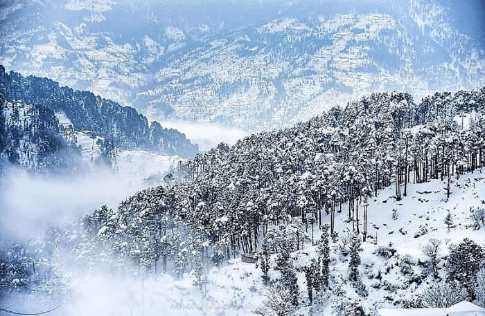A wonderful view of snowfall in Patnitop which is counted among the best places to visit in India