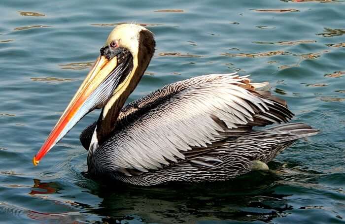 Prespa Lakes