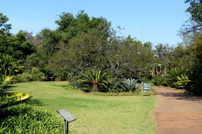 Pretoria National Botanical Garden