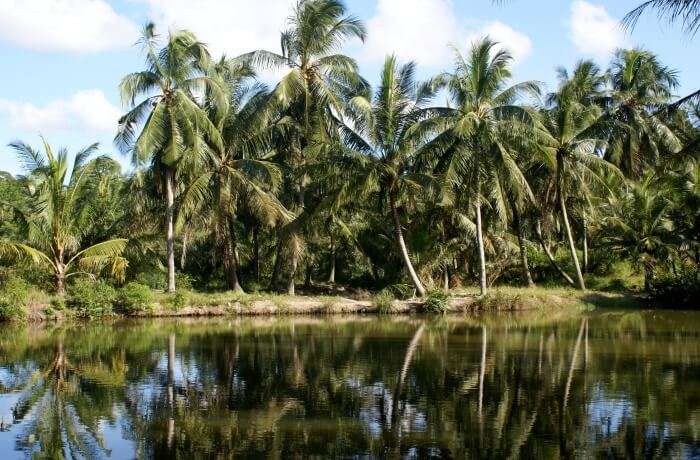 Pulau Ubin