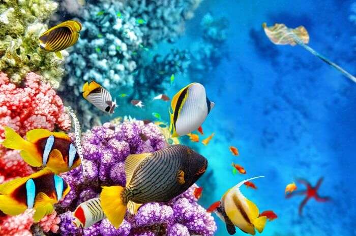 Best Romantic Places In Queensland