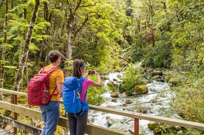 Routeburn Track Treks Cover