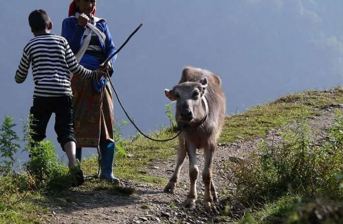 Rural lifestyle of Bhutan