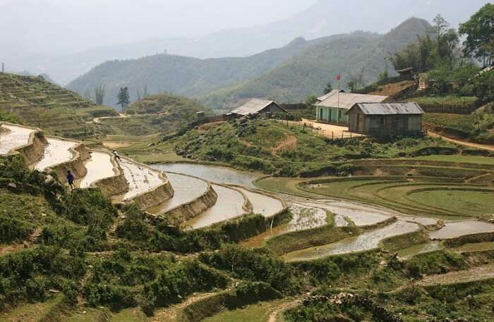 rice terraces of indochina