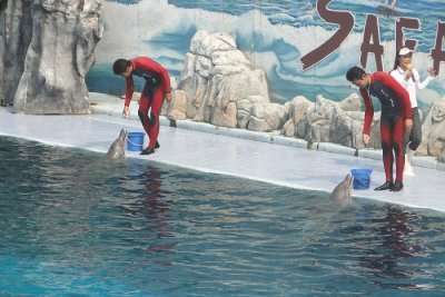 Safari World and Marine Park