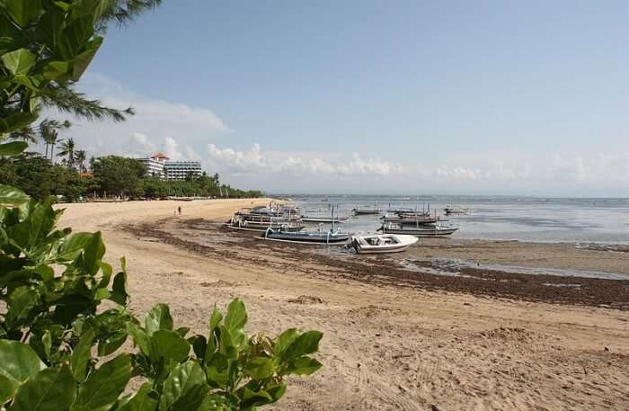 Sanur Beach View