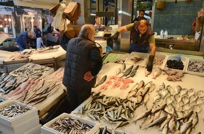 Senoko Fishery Port