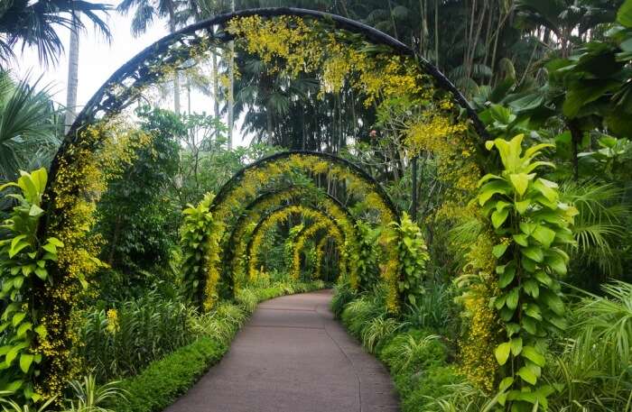 Singapore Botanic Garden in Singapore