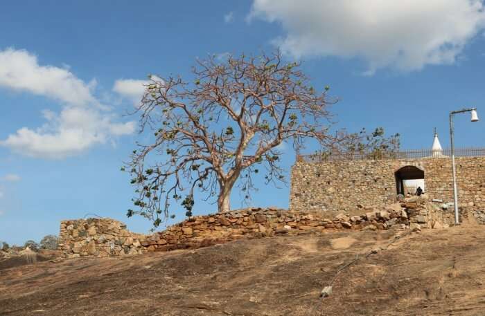 Sithulpawwa Rock Temple