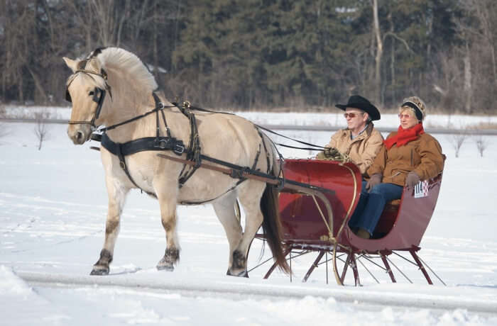 Sled Ride