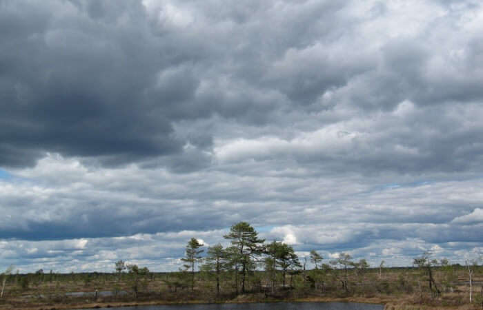 Soomaa National Park