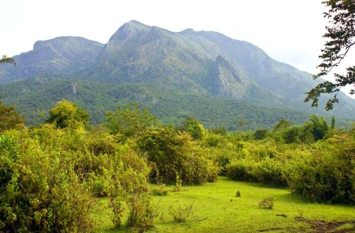 Summers in Mudumalai National Park