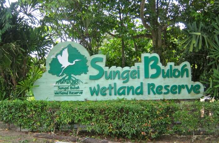 Sungei Buloh wildlife reserve