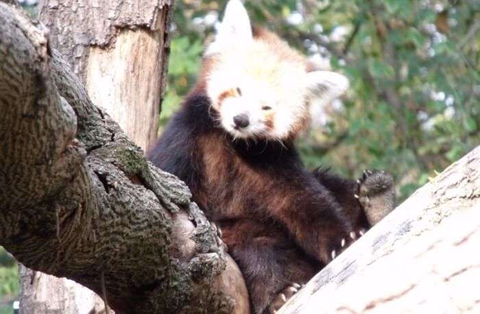 Szeged Zoo