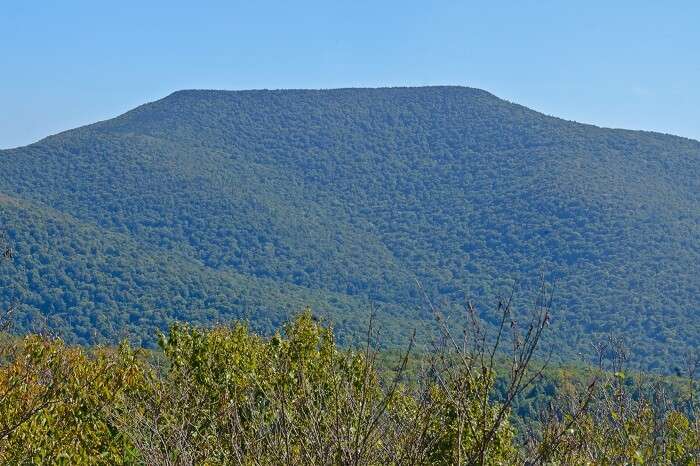 Table Mountain