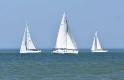 The San Francisco Sailing Company