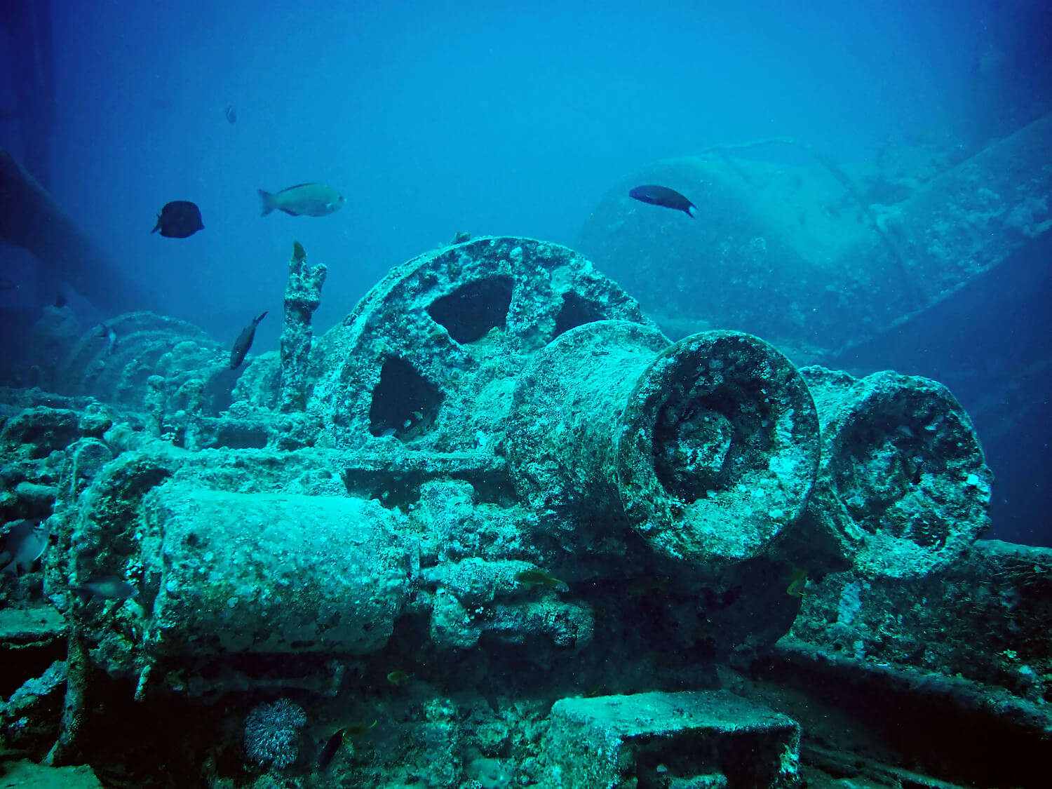The Wreck of Toulonnais