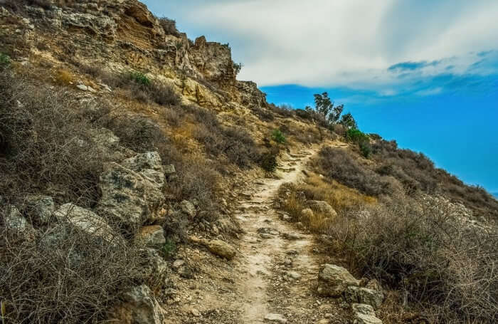Trekking